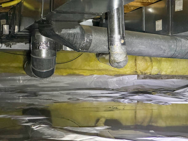 Best Sewage Cleanup and Restoration in Elmira Heights, NY