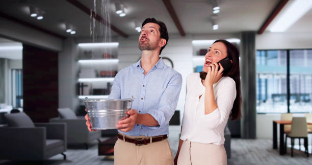 Trusted Elmira Heights, NY Water damage restoration Experts